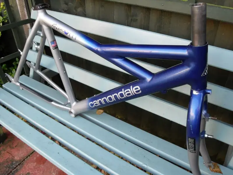 SDC12517-w1024-h768.webp
