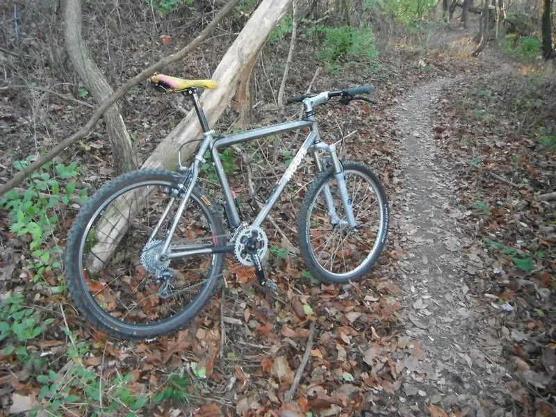 MOOTS.webp