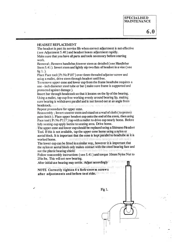 p23.webp