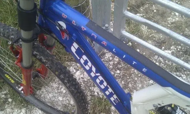 cx new 8.webp