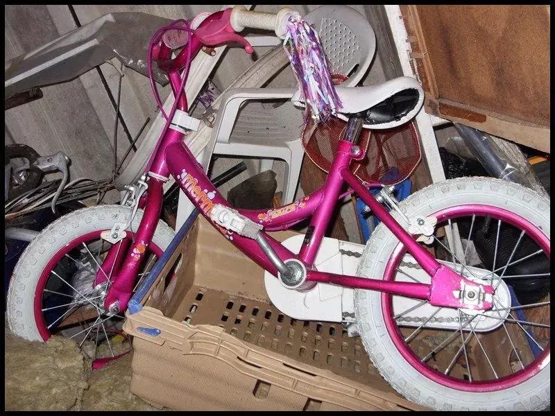 Pink Bike.webp