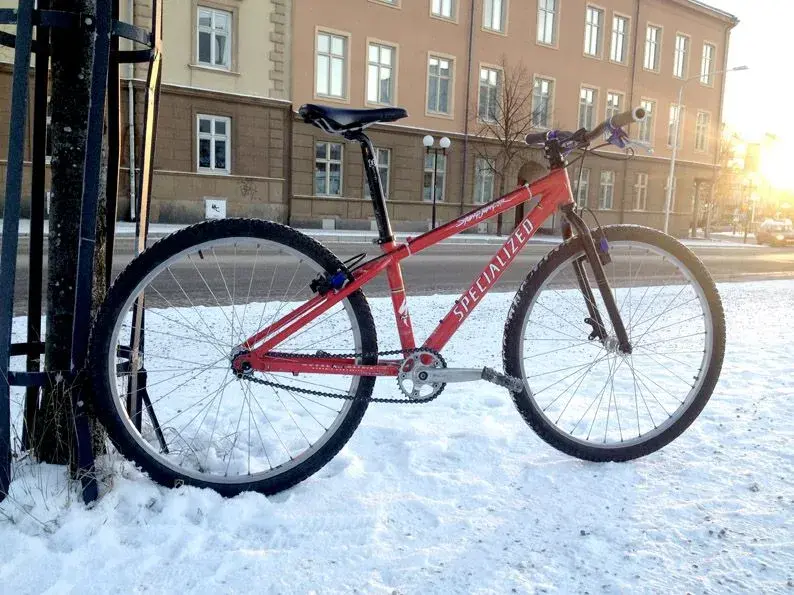 stumpy_snow.webp