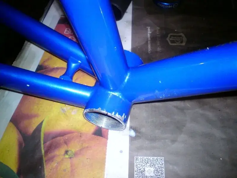 DSC00429.webp