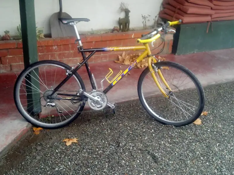 bikepic2.webp