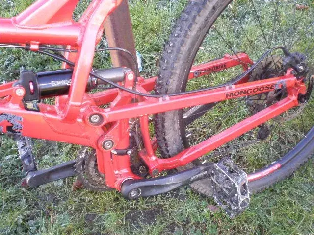 mongoose tiocali comp 003.webp