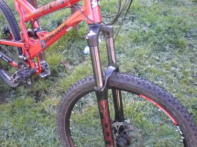 mongoose tiocali comp 009.webp
