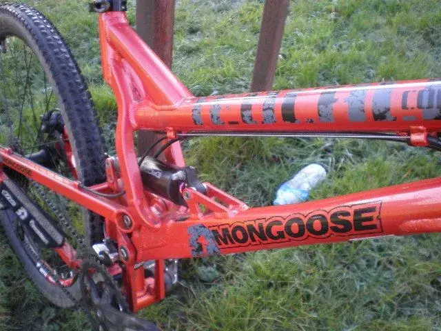 mongoose tiocali comp 010.webp