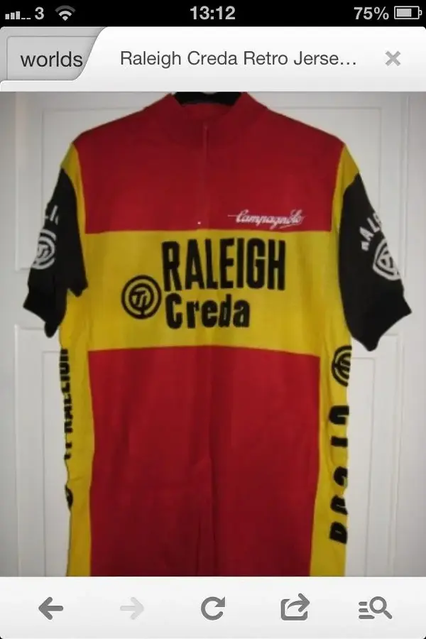 Raleigh jersey.webp