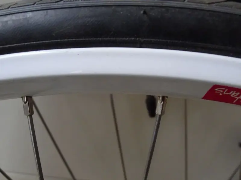 Stans_XT29er 003.webp