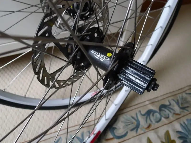 Stans_XT29er 002.webp