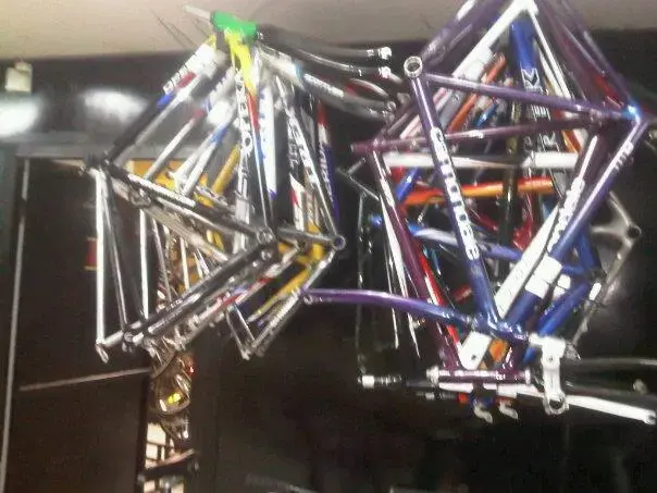 252292_10151204959253402_1420568160_n.webp