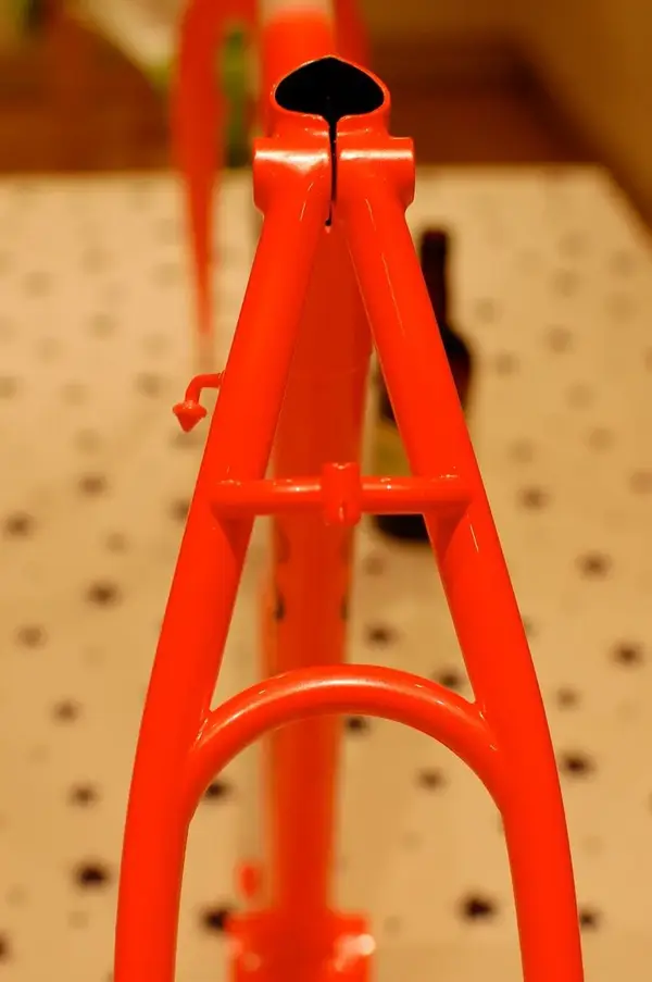 DSC_0098.webp