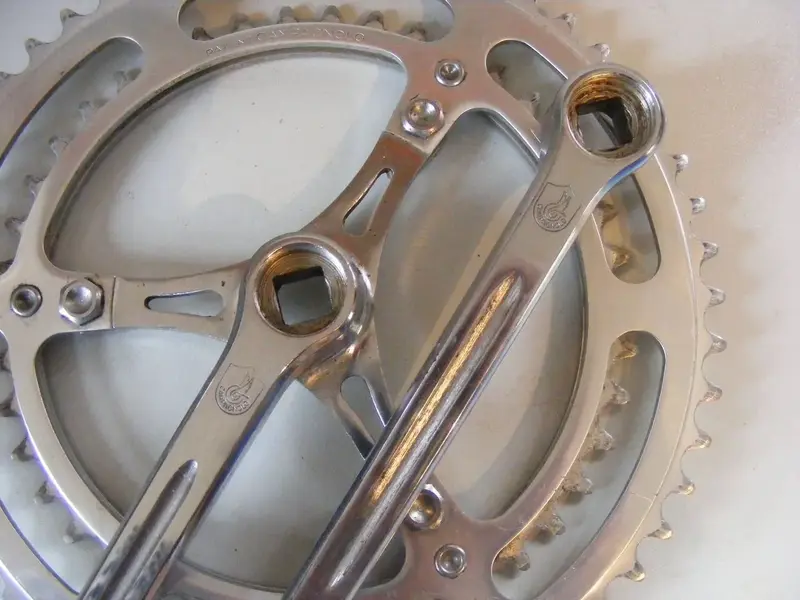 campy3arm.webp