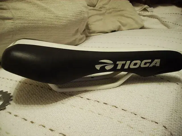 xtr lx tioga 012.webp