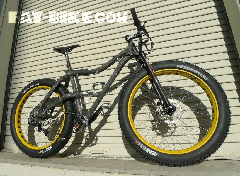 Fat Bike.webp