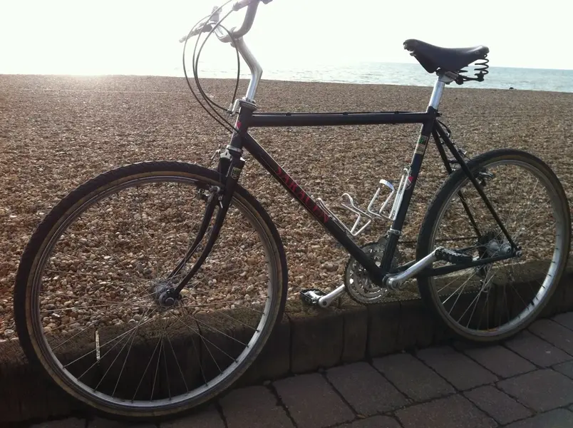 Saracen 501 photo 1.webp