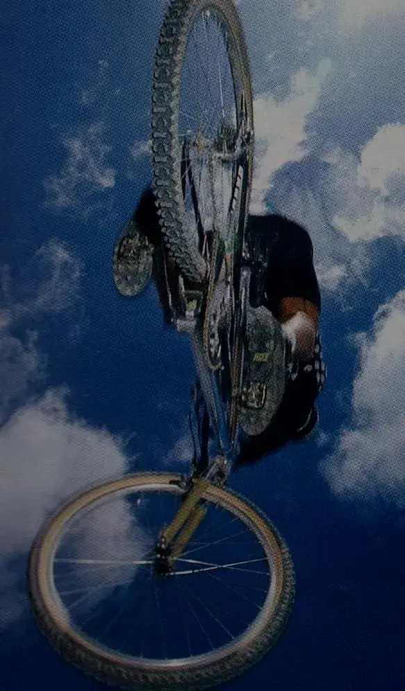 THE SKYS THE LIMIT..webp