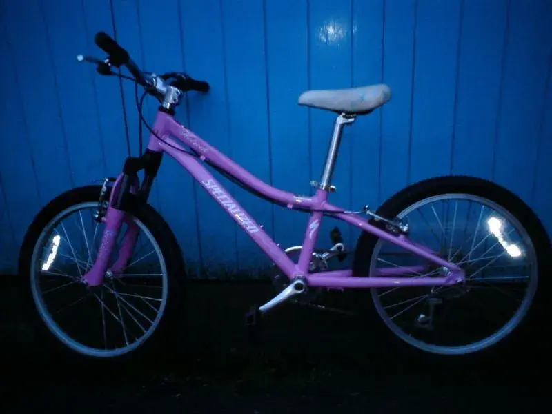 DSC00460.webp
