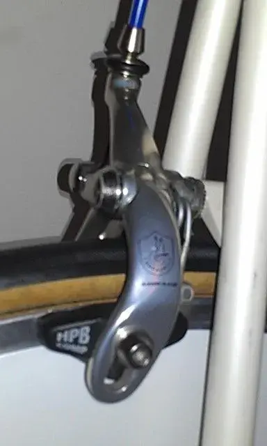 IMAG0161.webp