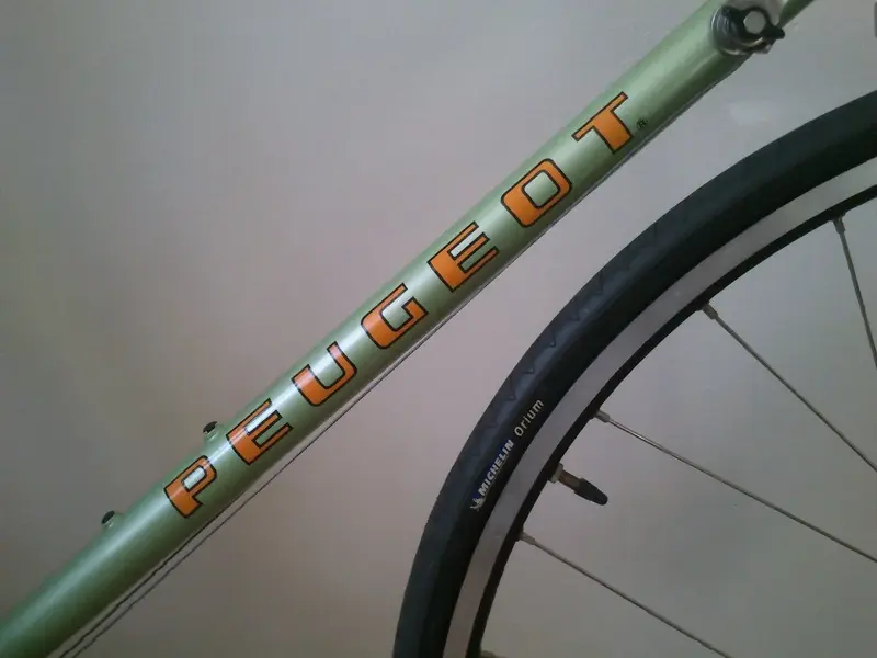 PFN10 Frame.webp