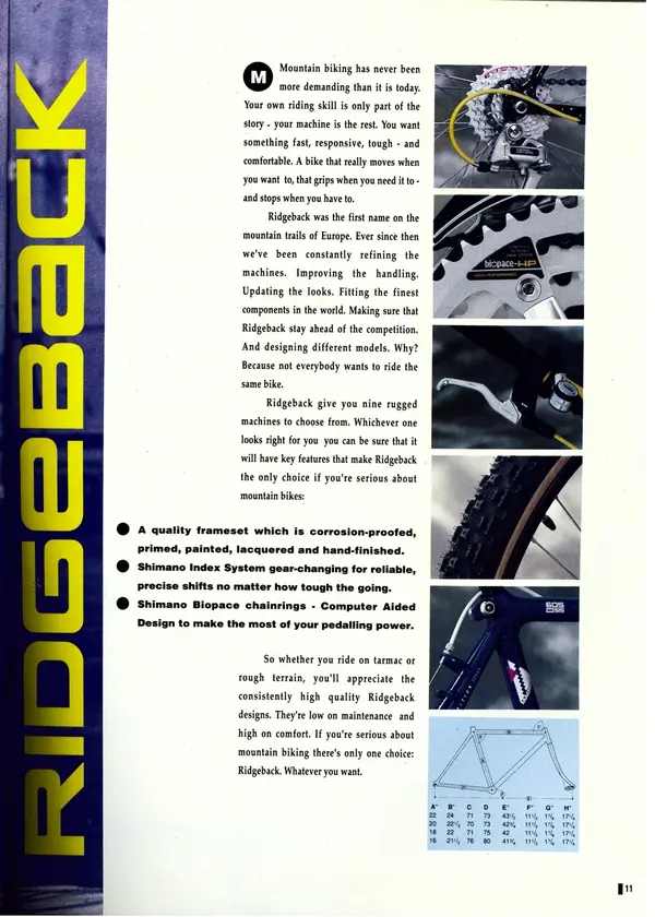 freewheel01rb03.webp
