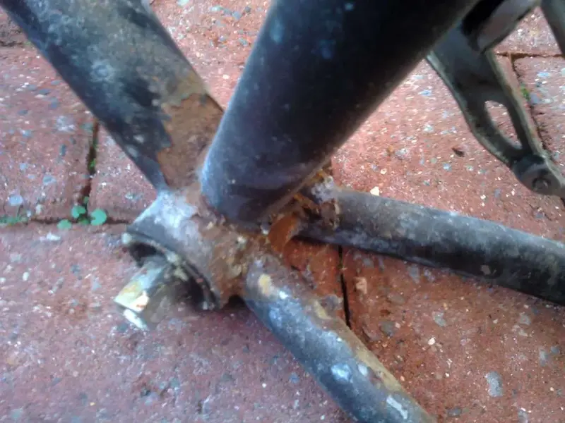 Frame9.webp