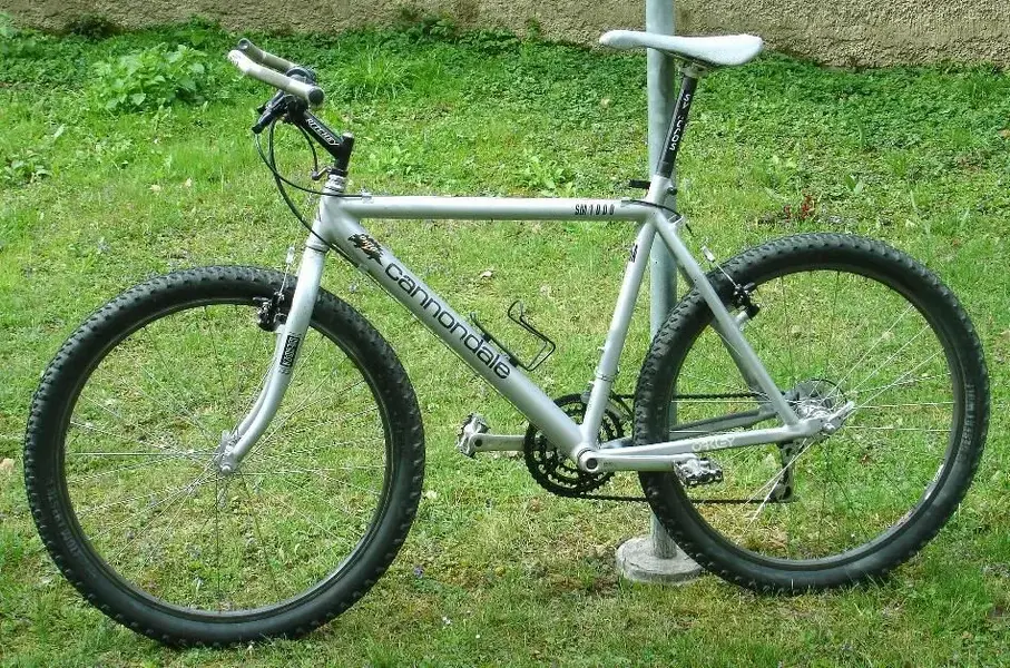 Cannondale_SM1000_31.webp