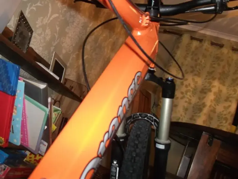 DSCF1453.webp