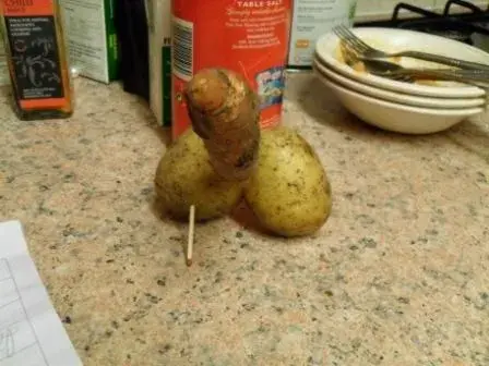 Two Veg.webp