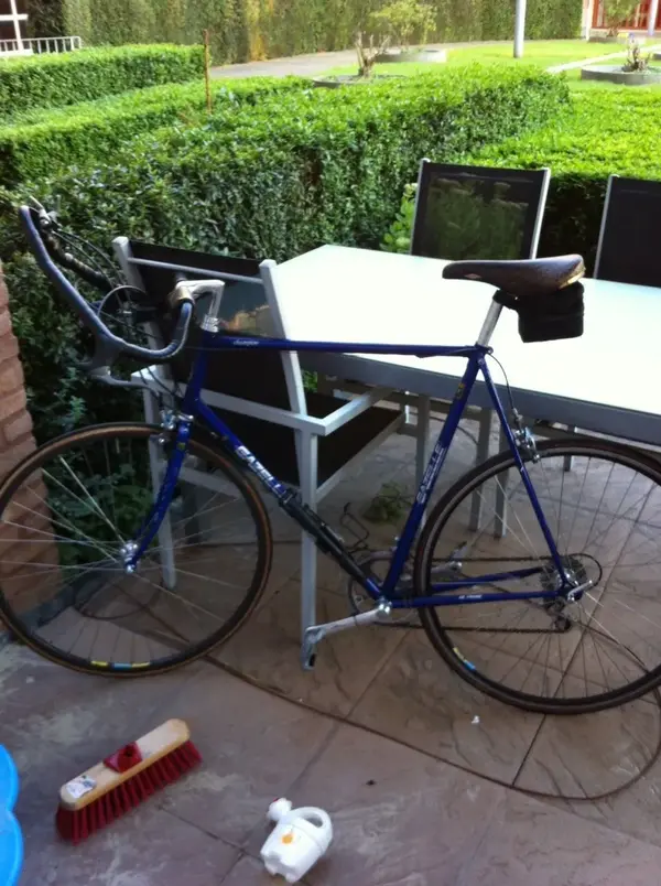 image.webp