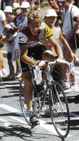 19861302.webp