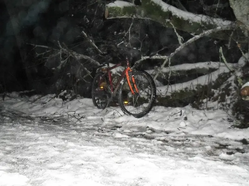Melting snow.webp