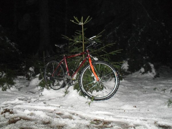 Bike under tree.JPG