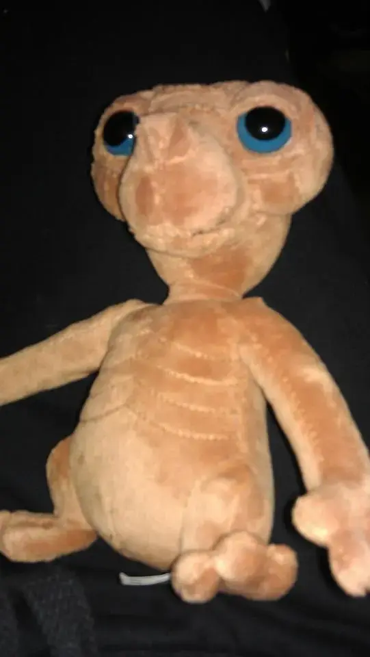 380630_10151329288023588_1701353284_n.webp