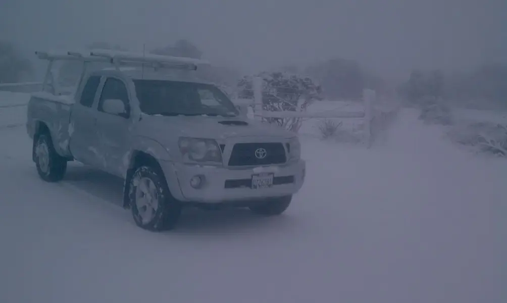 Snow.webp
