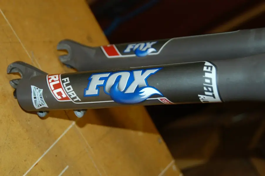 fox 2.webp