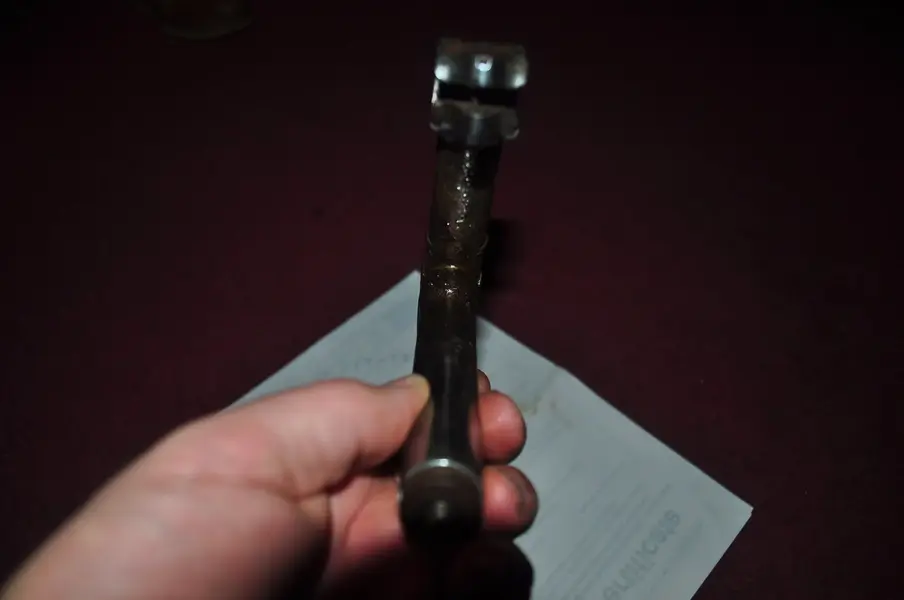 Stuart Purves stem 006.webp