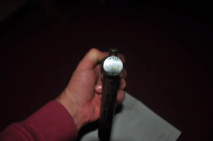Stuart Purves stem 004.webp