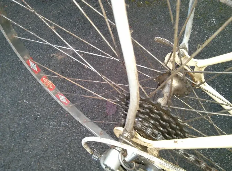 Rear wheel.webp