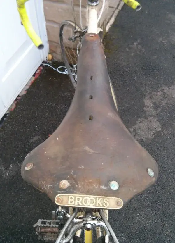 Saddle.webp