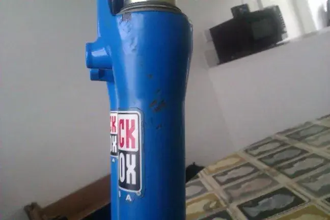IMAG0275.webp