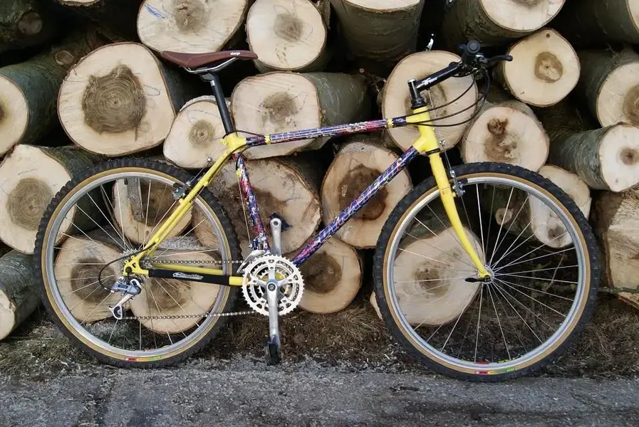 Raleigh Dynatech Diablo DX.webp
