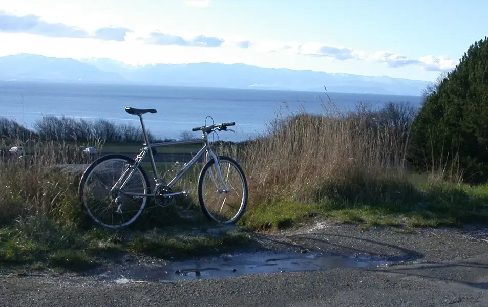 juan de fuca.webp