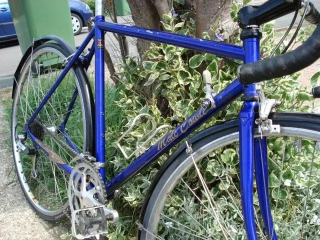 DSC01295.webp
