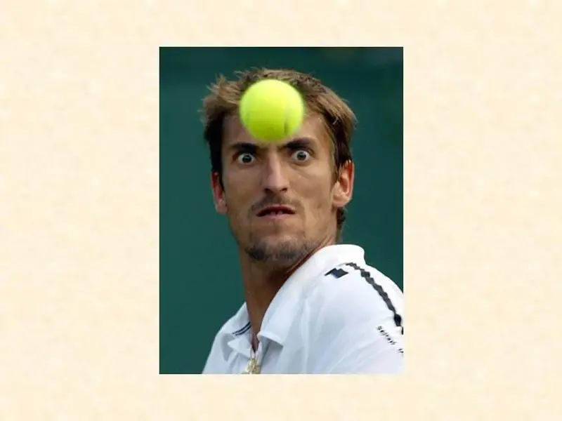 Slide9.webp