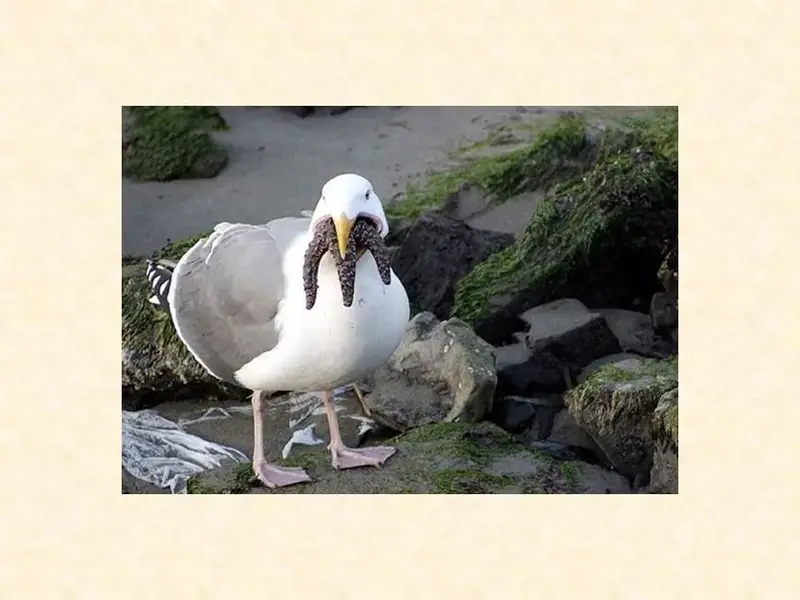 Slide7.webp