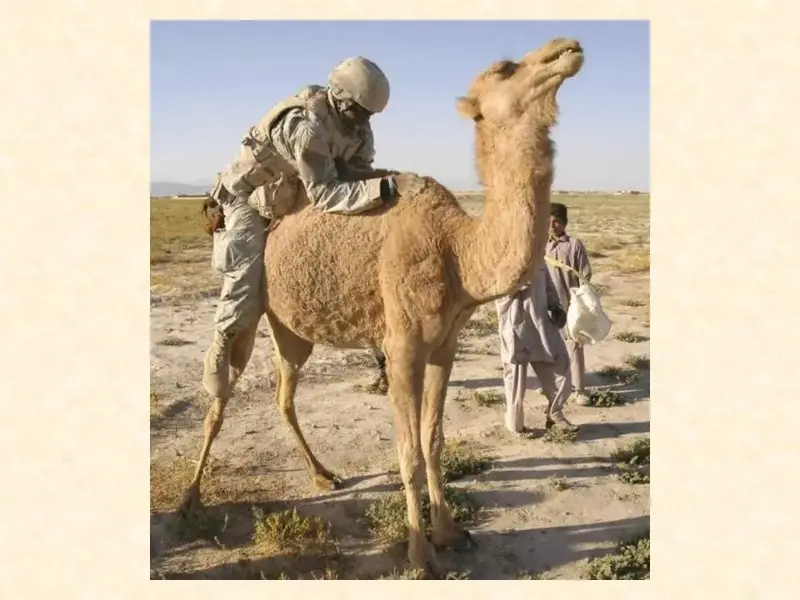 Slide6.webp