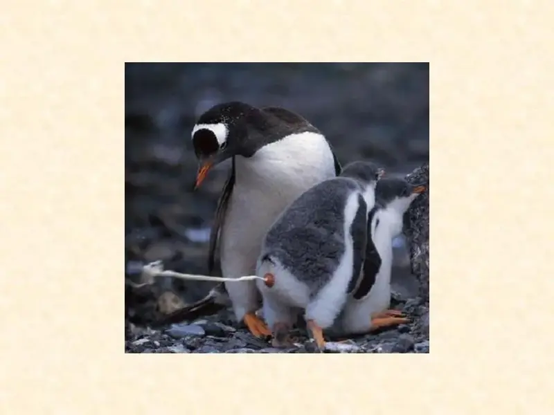 Slide12.webp