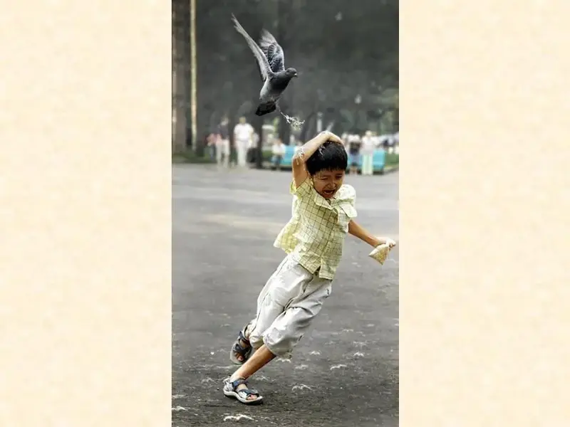 Slide10.webp