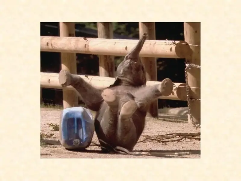 Slide16.webp